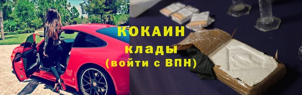прущий лед Алзамай