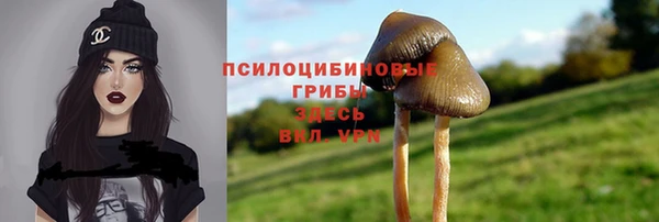 прущий лед Алзамай