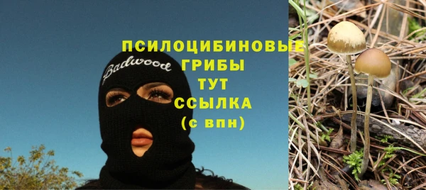 эйфоретик Алексин