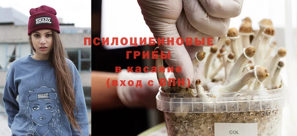 эйфоретик Алексин